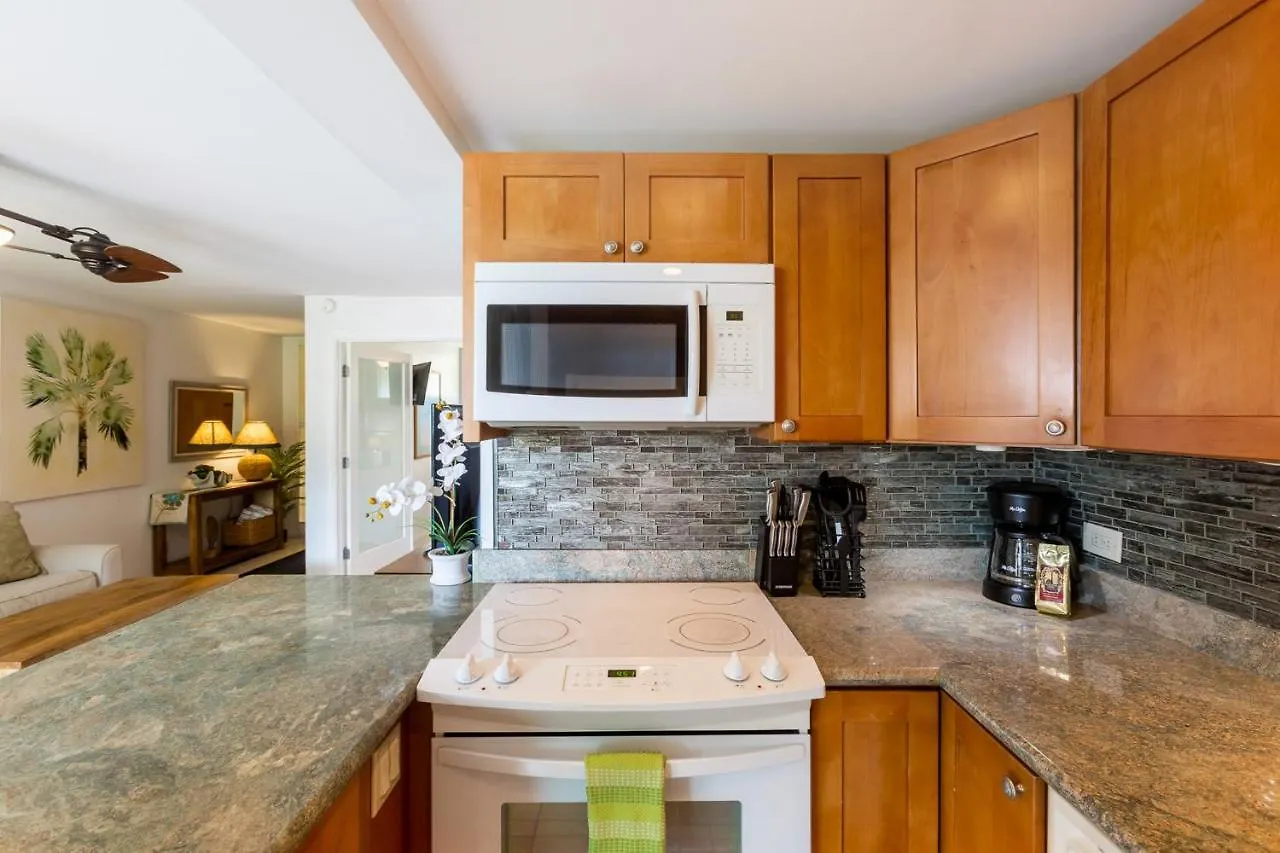 Hale Ono Loa 102 Apartment Kahana 0*,  United States