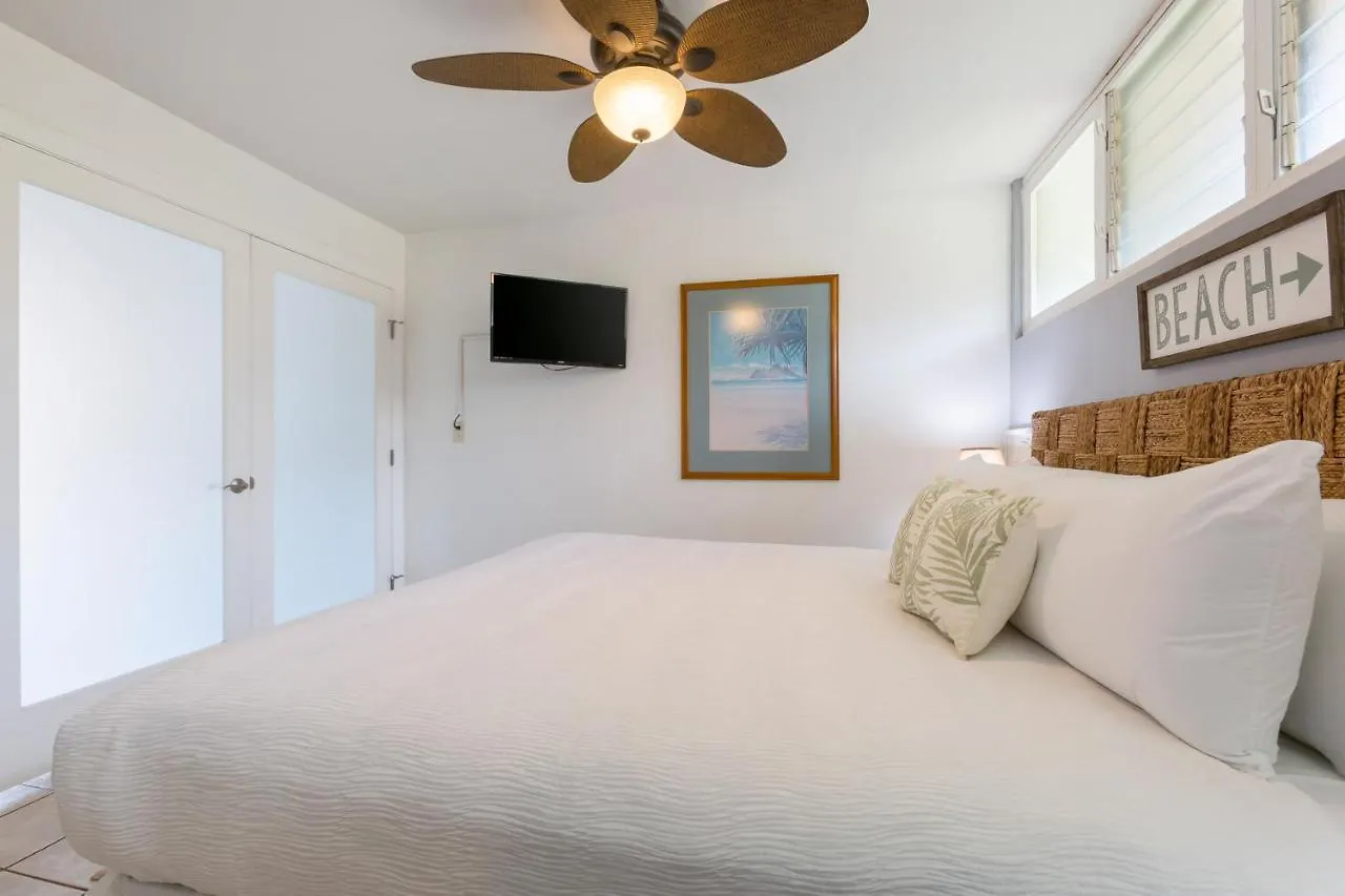 Hale Ono Loa 102 Apartment Kahana 0*,  United States